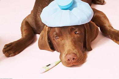 《死亡搁浅2》？小岛秀夫将担任TGA主持人